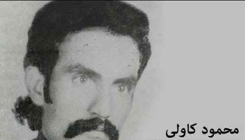 محمود کاولی ئه میره گیان
